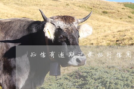 征信有逾期记录招行信用卡能过吗