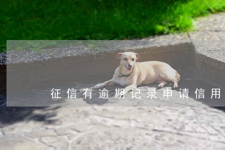 征信有逾期记录申请信用卡