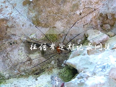 征信有逾期记录网捷贷能贷吗 征信有逾期记录网捷贷能贷吗