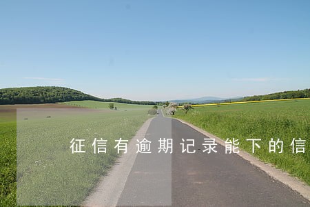 征信有逾期记录能下的信用卡 征信有逾期记录能下的信用卡