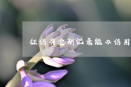 征信有逾期记录能办信用卡么 征信有逾期记录能办信用卡么