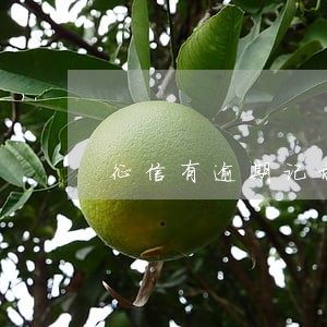 征信有逾期记录贷款买房吗 征信有逾期记录贷款买房吗