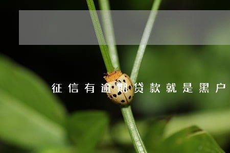 征信有逾期贷款就是黑户吗 征信有逾期贷款就是黑户吗