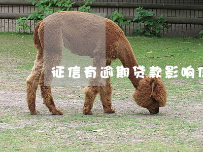 征信有逾期贷款影响信用卡吗 征信有逾期贷款影响信用卡吗