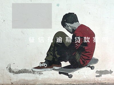 征信有逾期贷款案例 征信有逾期贷款案例