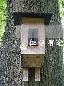 征信有逾期贷款能办信用卡吗