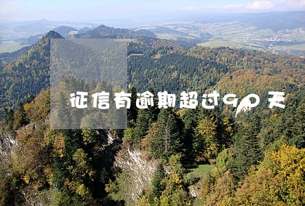 征信有逾期超过90天 征信有逾期超过90天