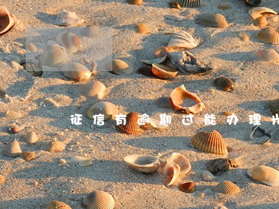 征信有逾期过能办理光大信用卡吗 征信有逾期过能办理光大信用卡吗