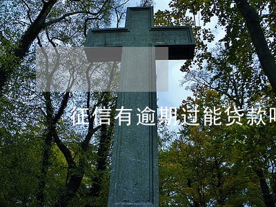 征信有逾期过能贷款吗 征信有逾期过能贷款吗