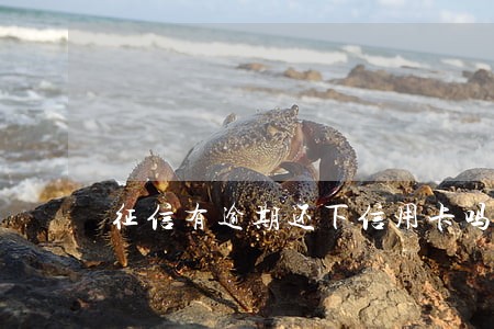 征信有逾期还下信用卡吗 征信有逾期还下信用卡吗