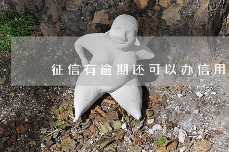 征信有逾期还可以办信用卡 征信有逾期还可以办信用卡