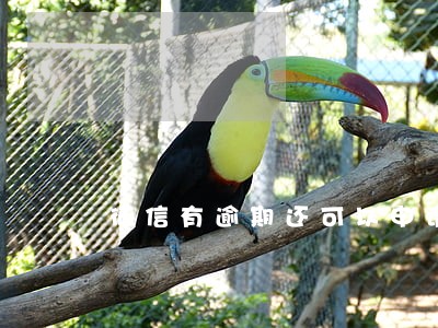 征信有逾期还可以申请信用卡 征信有逾期还可以申请信用卡