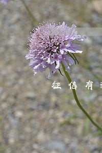 征信有逾期还可以贷款买房吗 征信有逾期还可以贷款买房吗
