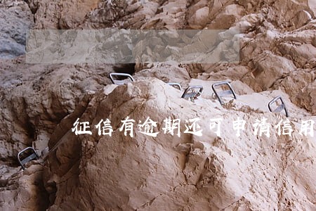 征信有逾期还可申请信用卡吗