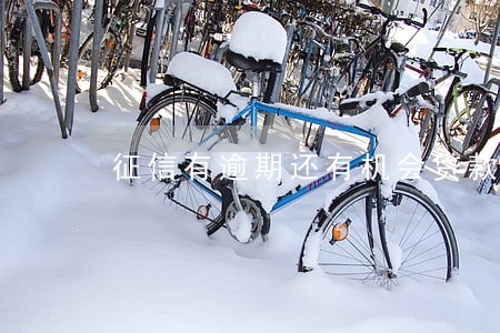 征信有逾期还有机会贷款吗 征信有逾期还有机会贷款吗
