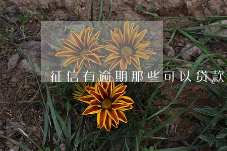 征信有逾期那些可以贷款 征信有逾期那些可以贷款