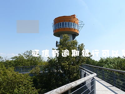 征信有逾期银行可以贷款吗 征信有逾期银行可以贷款吗