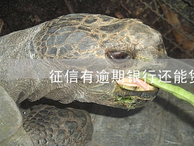 征信有逾期银行还能贷款吗 征信有逾期银行还能贷款吗