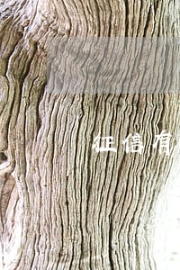 征信有问题又信用卡逾期 征信有问题又信用卡逾期