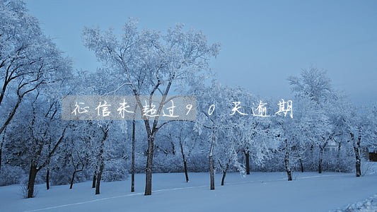 征信未超过90天逾期 征信未超过90天逾期