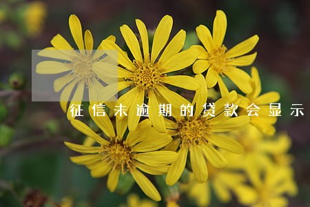 征信未逾期的贷款会显示吗 征信未逾期的贷款会显示吗