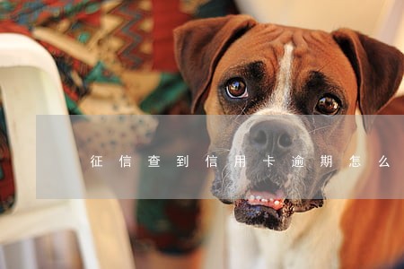 征信查到信用卡逾期怎么办光大 征信查到信用卡逾期怎么办光大