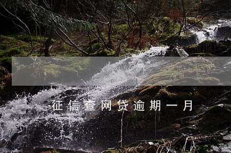 征信查网贷逾期一月 征信查网贷逾期一月