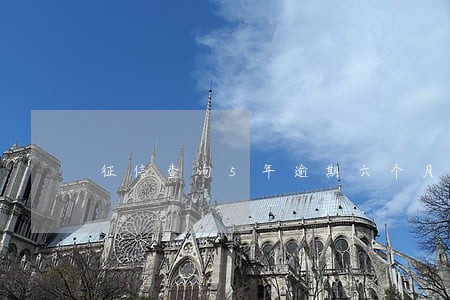 征信查询5年逾期六个月 征信查询5年逾期六个月