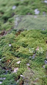 征信查询房贷逾期1天 征信查询房贷逾期1天