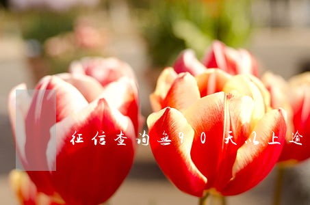 征信查询无90天以上逾期 征信查询无90天以上逾期