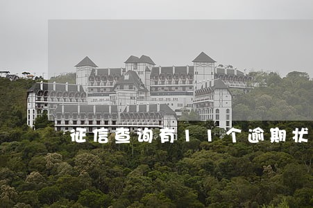 征信查询有11个逾期状态