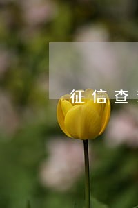 征信查询近五年4次逾期房贷 征信查询近五年4次逾期房贷