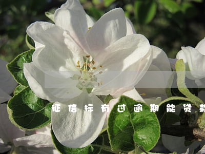 征信标有过逾期能贷款吗 征信标有过逾期能贷款吗