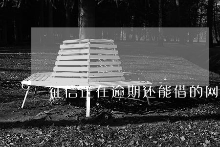 征信正在逾期还能借的网贷