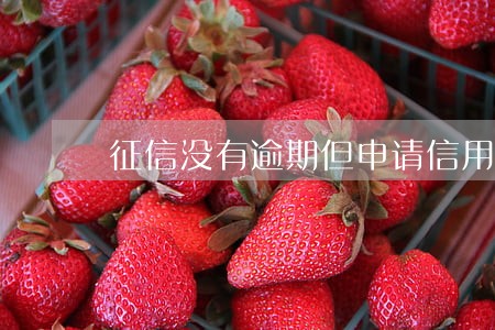 征信没有逾期但申请信用卡秒拒 征信没有逾期但申请信用卡秒拒