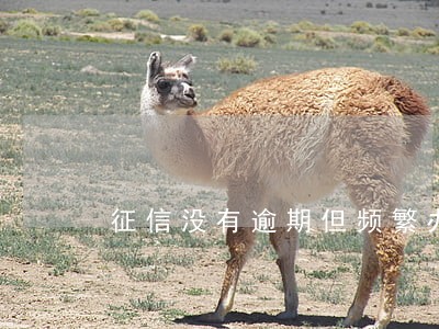 征信没有逾期但频繁办理信用卡 征信没有逾期但频繁办理信用卡