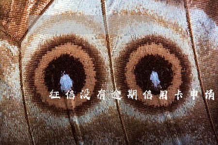 征信没有逾期信用卡申请总是被拒 征信没有逾期信用卡申请总是被拒