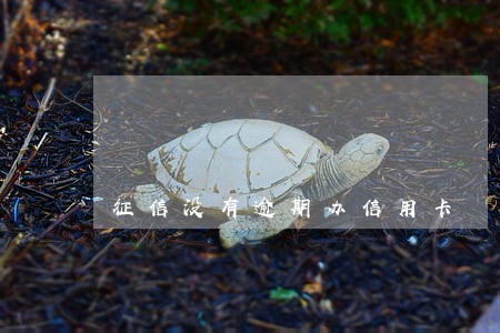 征信没有逾期办信用卡