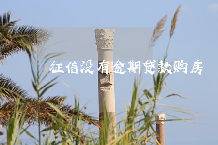 征信没有逾期贷款购房 征信没有逾期贷款购房