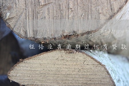 征信没有逾期过但有贷款记录 征信没有逾期过但有贷款记录