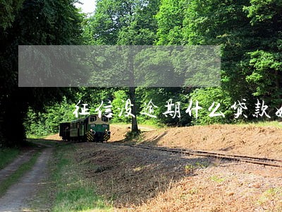 征信没逾期什么贷款好下 征信没逾期什么贷款好下