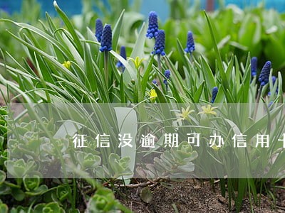 征信没逾期可办信用卡 征信没逾期可办信用卡