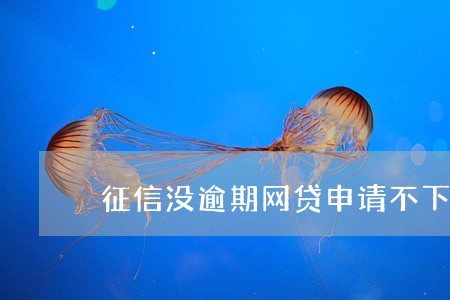 征信没逾期网贷申请不下来 征信没逾期网贷申请不下来