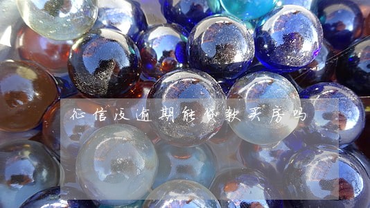 征信没逾期能贷款买房吗 征信没逾期能贷款买房吗