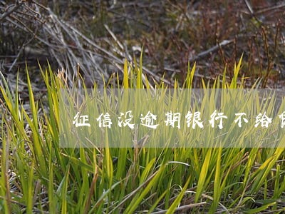 征信没逾期银行不给贷款 征信没逾期银行不给贷款