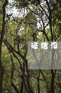 征信没逾期银行放款吗 征信没逾期银行放款吗