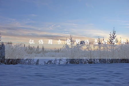 征信用卡逾期信息会更新吗 征信用卡逾期信息会更新吗