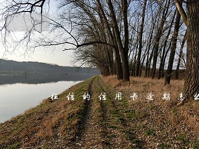征信的信用卡逾期怎么才能消