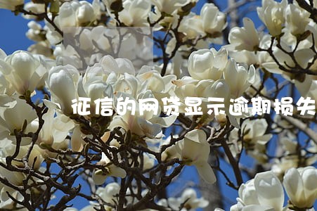征信的网贷显示逾期损失 征信的网贷显示逾期损失