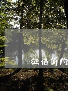 征信简约版显示有3个月逾期 征信简约版显示有3个月逾期